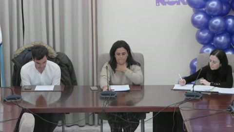 Pleno ordinario 24/11/2025
